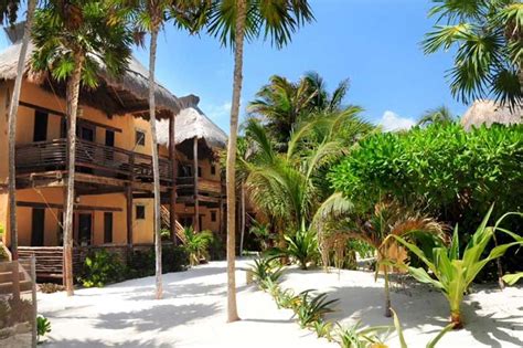 hip hotels petaluma|Hip Hotel Tulum .